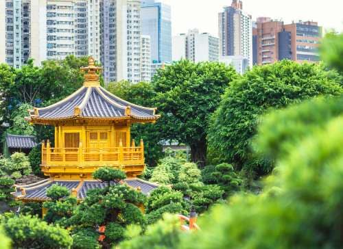 Chi Lin Nunnery and Nan Lian Garden. Golden pavilion of absolute perfection in Nan Lian Garden in Chi Lin Nunnery, Hong Kong, China
