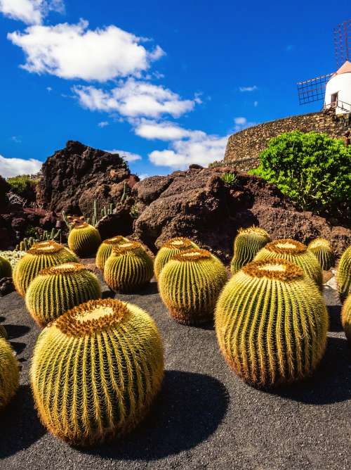 Lanzarote, Spain