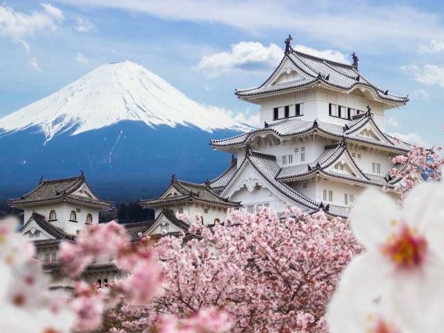 Himeji Castle and full cherry blossom, with Fuji mountain background, Japan; Shutterstock ID 601341215; Invoice Number: -