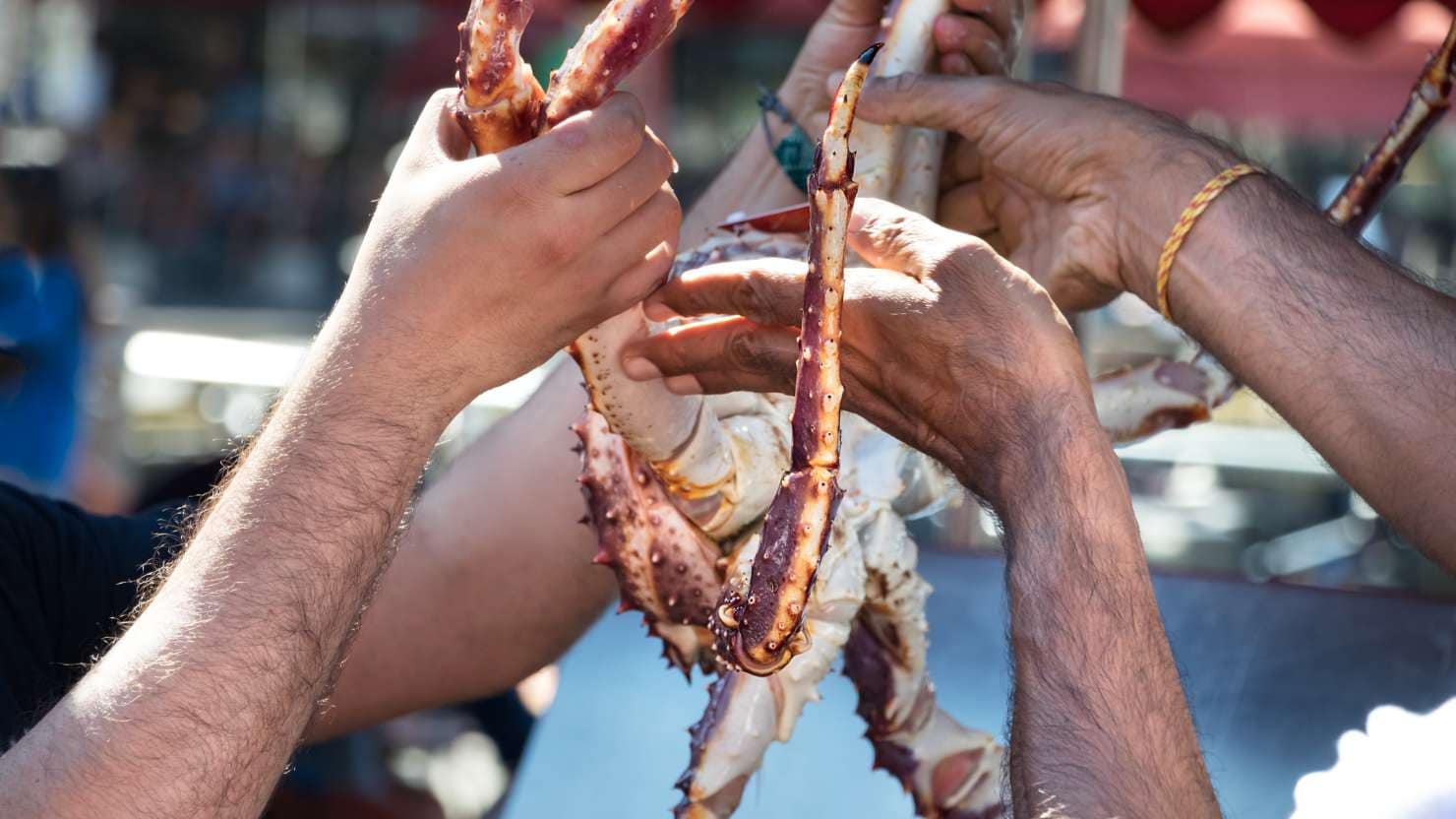 Male hands taking the legs of a crab at the Bergen fish market, Norway.