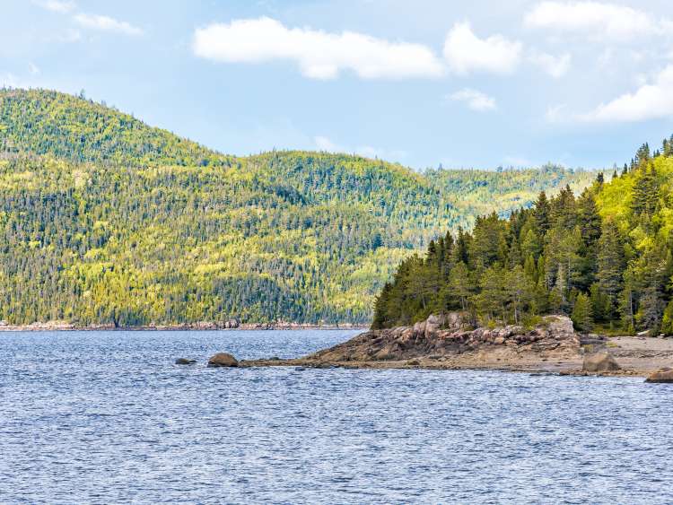 Fjord coast nature near Saguenay river, cliffs, tree forest, mountains and cloudy clouds sky; Shutterstock ID 770617042; Invoice Number: -