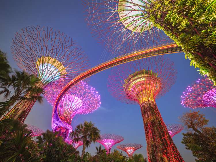 Gardens by the Bay in Singapore at night