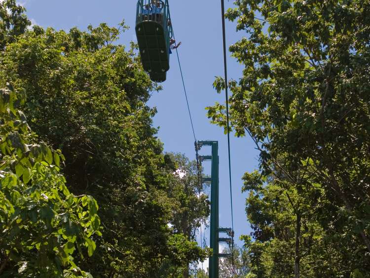 Rainforest Ariel Tram