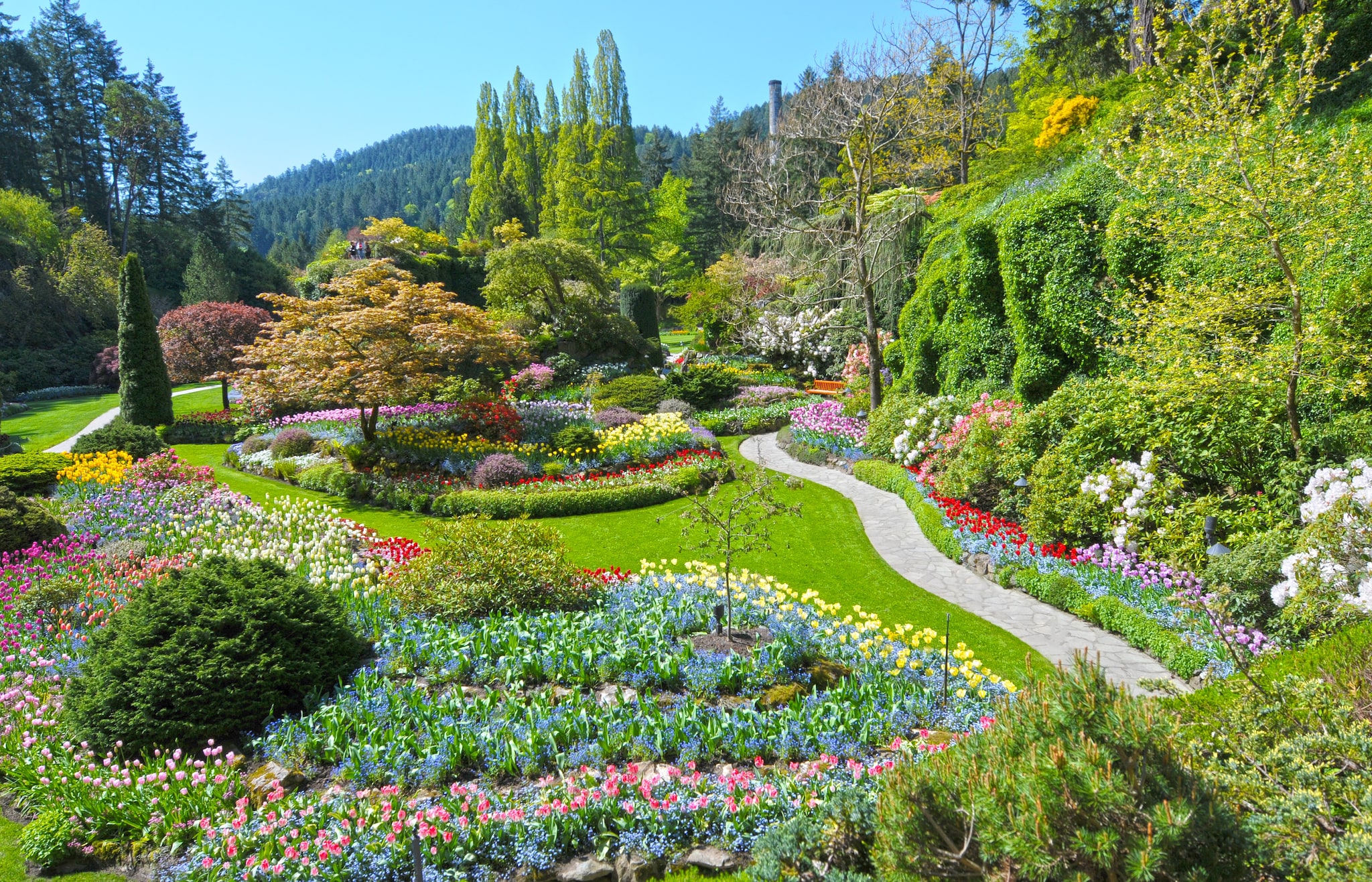 Butchart Gardens and Afternoon Tea