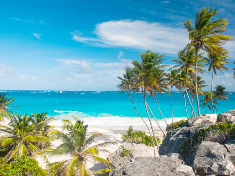 Palm trees and white sands at Bottom Bay beach, Barbados.