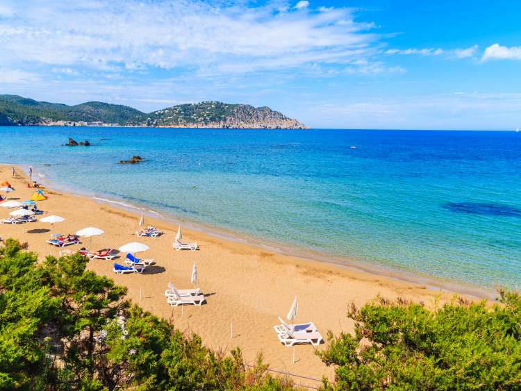 View of sandy Es Figueral beach with sunbeds and umbrellas, Ibiza island, Spain; Shutterstock ID 649656346; Invoice Number: -