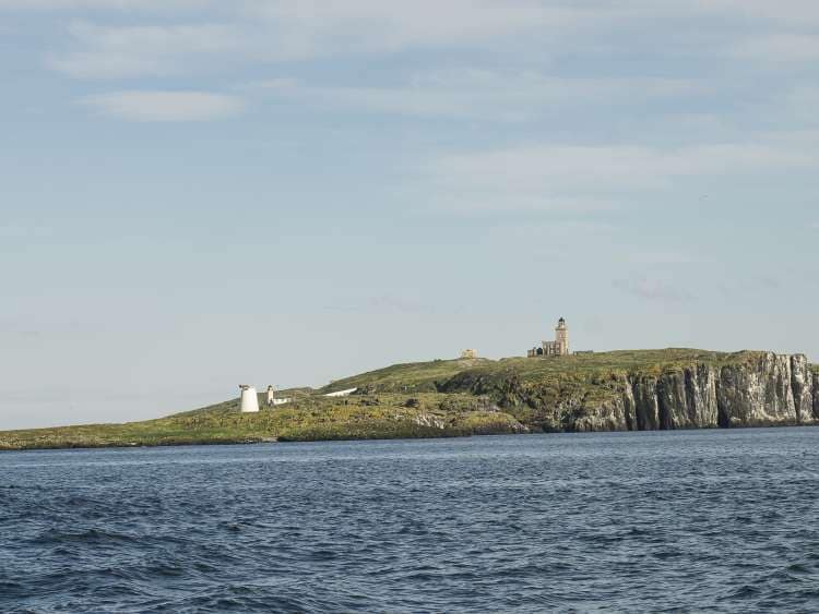 Isle of May, Scotland