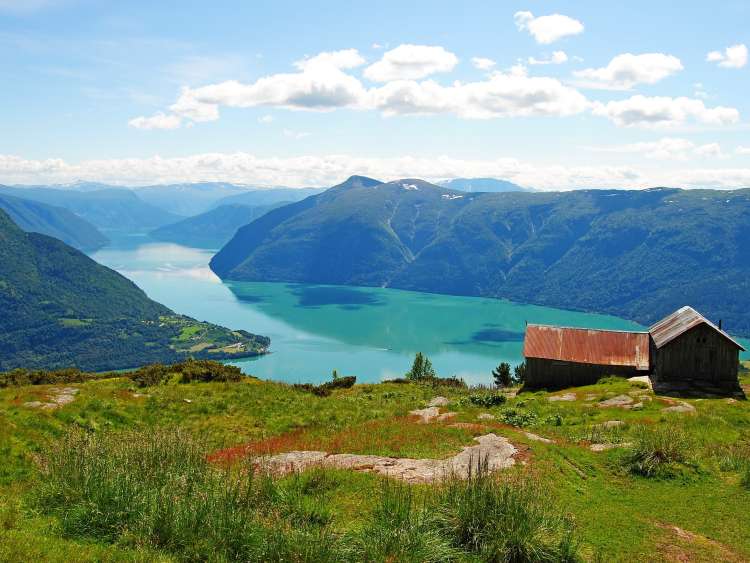 View high above Lustrafjord in summer