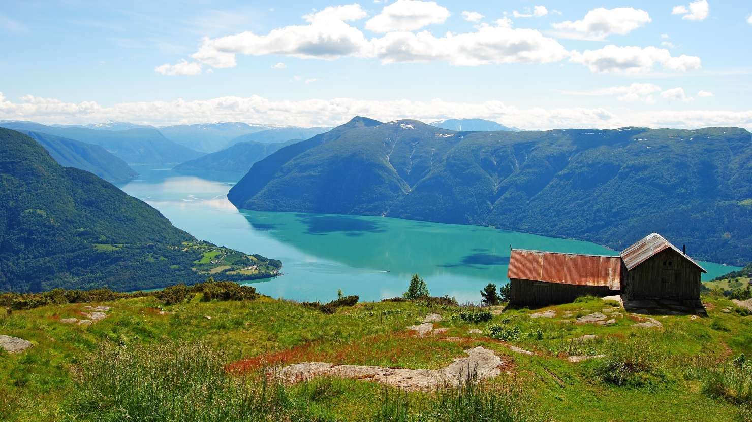 View high above Lustrafjord in summer