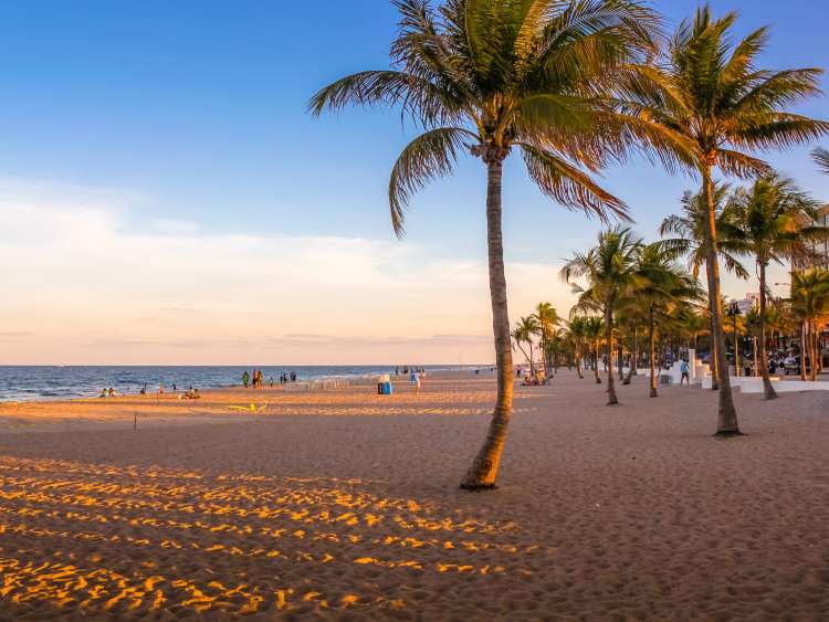 Palms, sea and sand on South Beach, Miami, Florida, USA