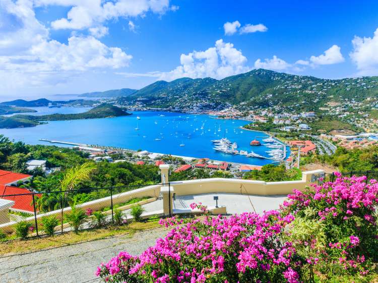 View atop a hill in sunny St Thomas in the Caribbean, showing wildflowers, green hills and a view over the marina