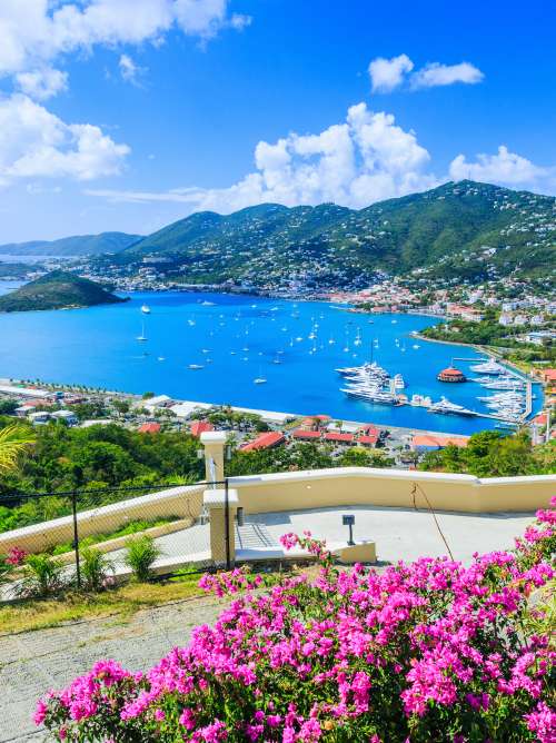 View atop a hill in sunny St Thomas in the Caribbean, showing wildflowers, green hills and a view over the marina