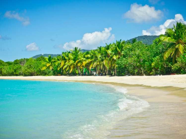 Jungle-lined white-sand beach near Road Town, Tortola, Caribbean