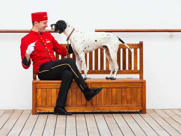 Dog in kennel on Queen Mary 2