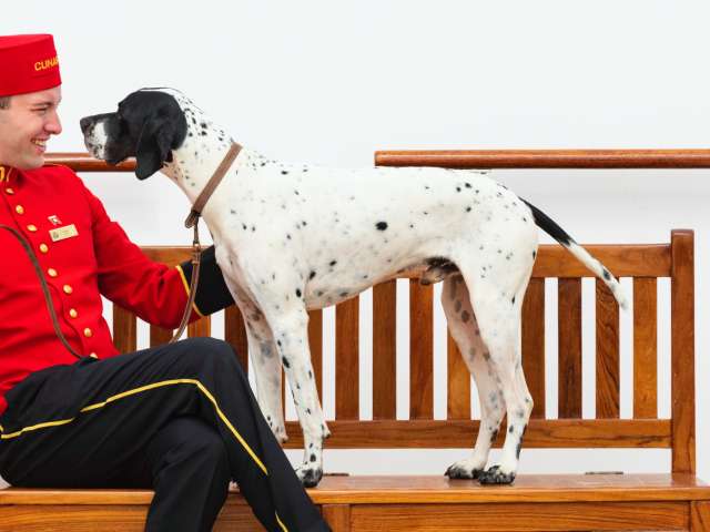 Dog in kennel on Queen Mary 2