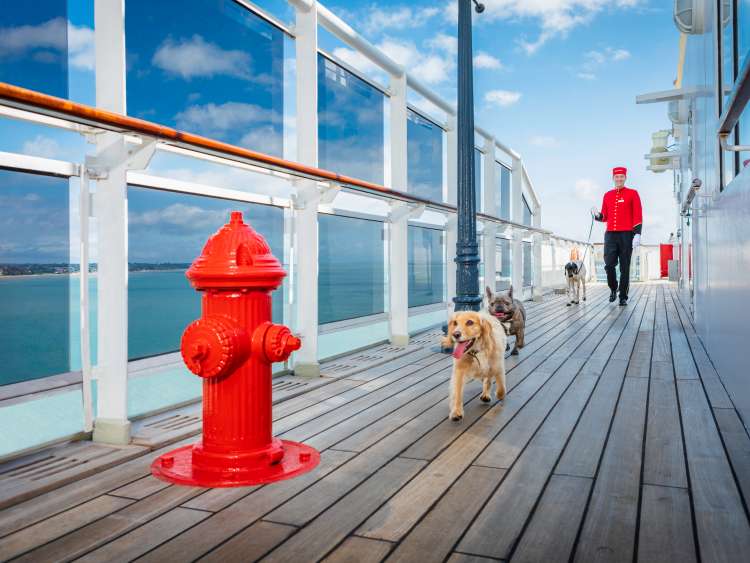 Fire hydrant in kennels area on board Queen Mary 2