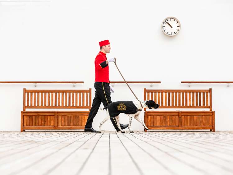 Dog being walked on board Queen Mary 2