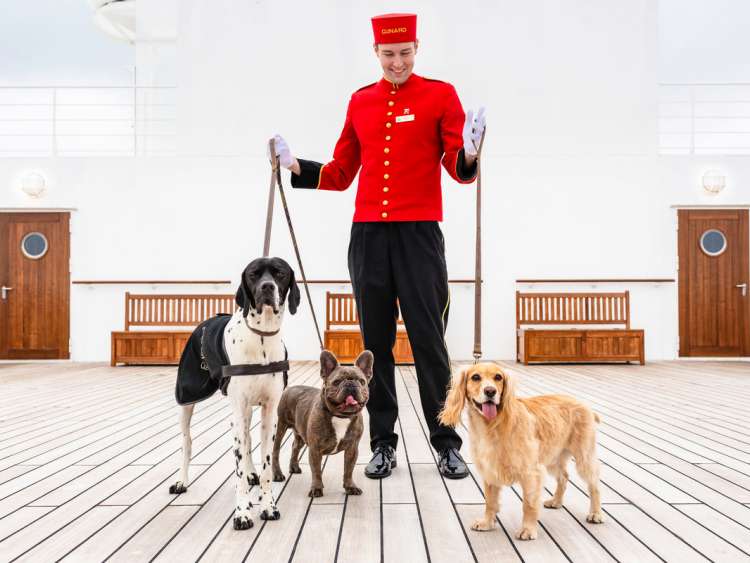 Kennels photography for Cunard on board Queen Mary 2 in Southampton.
Picture date: Sunday August 19, 2018.
Photograph by Christopher Ison ©
07544044177
chris@christopherison.com
www.christopherison.com