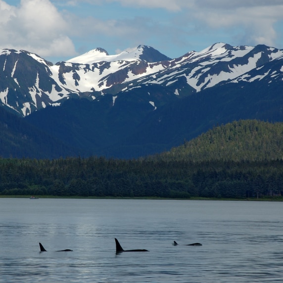 Alaska - Cruising America’s Last Frontier - BBC Storyworks - Cunard cruises