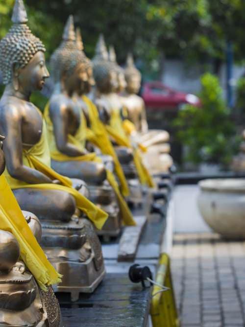 Buddha Statues in Seema Malaka Temple, Colombo, Sri Lanka shutterstock 535350205