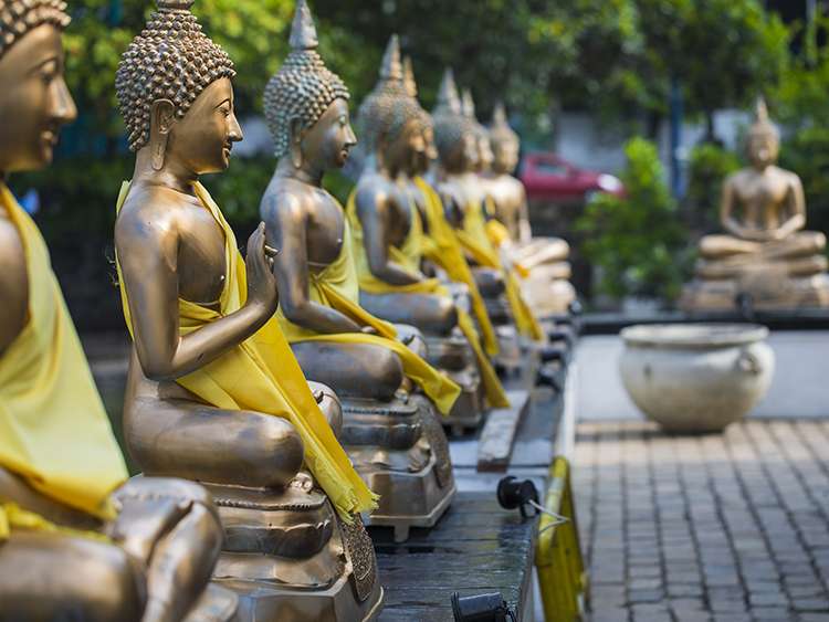 Buddha Statues in Seema Malaka Temple, Colombo, Sri Lanka shutterstock 535350205