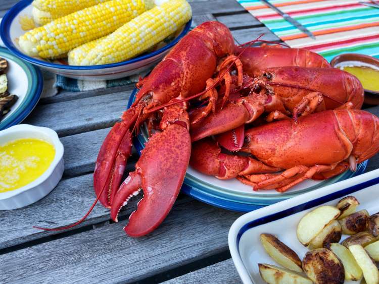 Freshly steamed whole Maine lobsters on plate with butter sauce, and vegetables. Selective focus on front part of lobsters. ; Shutterstock ID 476672611; purchase_order: n/a; job: New England & Canada Guide; client: cunard-digital; other: As per agreed annual allowance