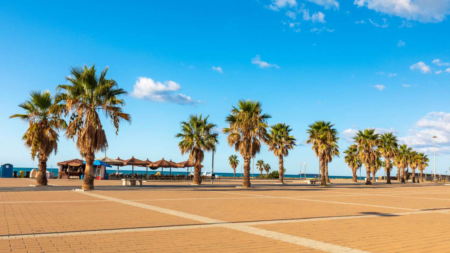 The palm trees. A view of the seaside promenade of Civitavecchia Rome Italy