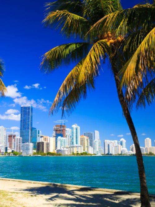 Miami skyline in the background with palm trees resting on the beach in front of the ocean 