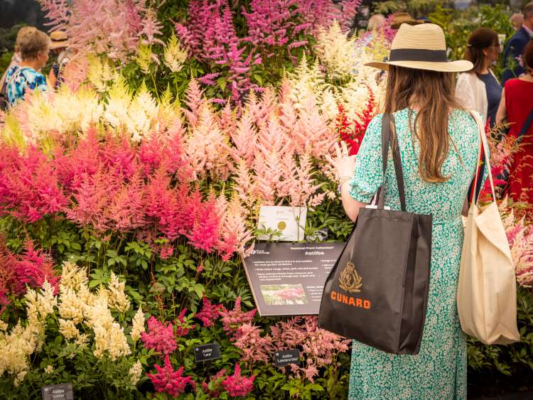 RHS Hampton Court Garden Festival sponsored by Cunard